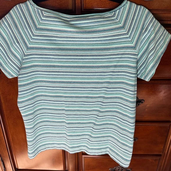 Liz Claiborne Petite Striped Blue and Green Women's Top - Picture 6 of 8